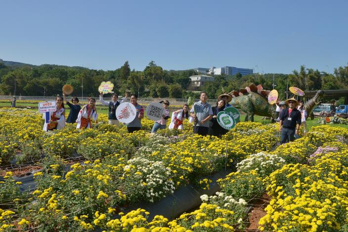 苗栗縣政府全球資訊網-中文網-苗栗銅鑼杭菊芋頭節12、13日登場花海迎賓