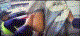 S__52568080