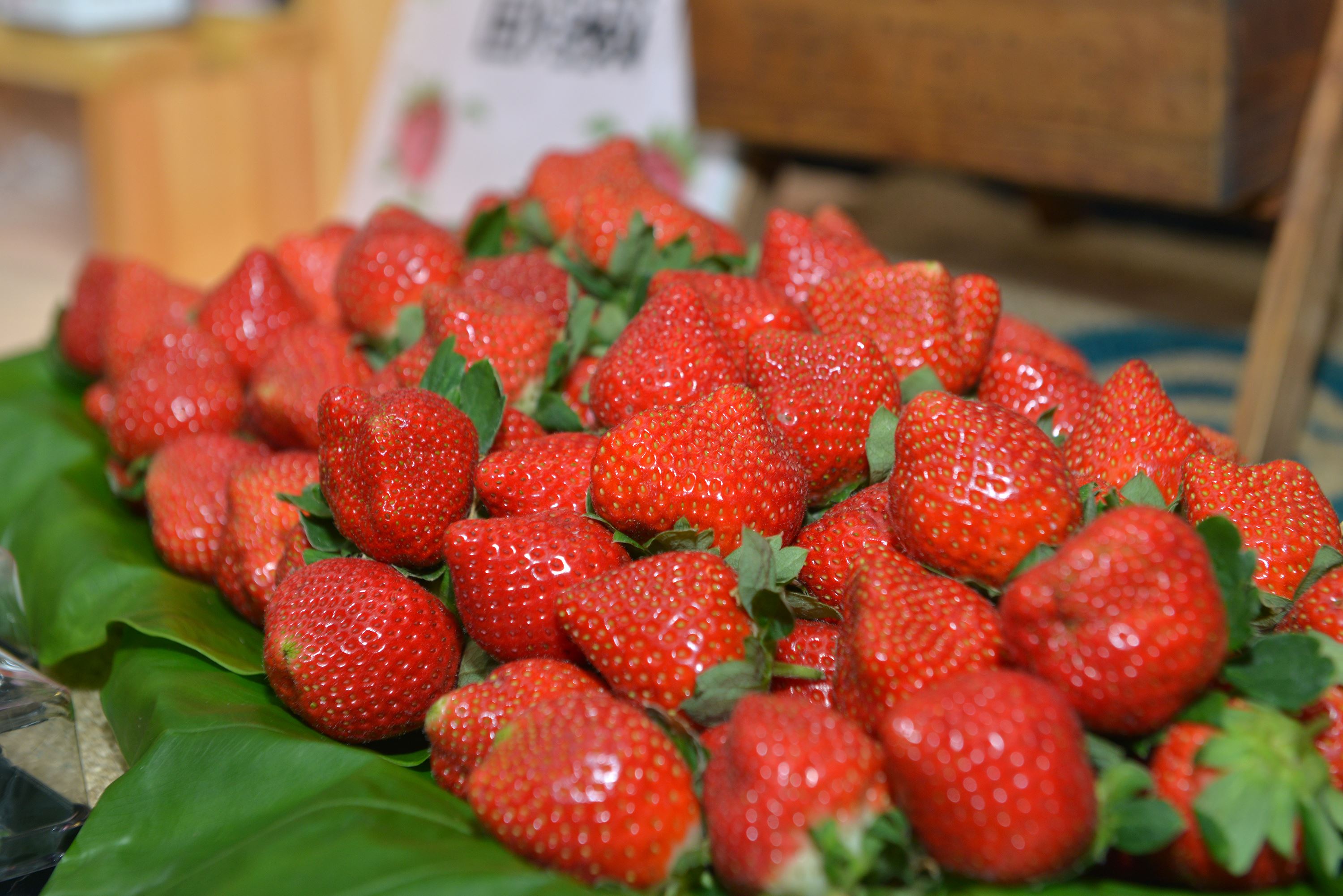 縣府7-「2023苗栗音樂佳餚節」記者會，大湖農會攤位展出最新上市的草莓.JPG