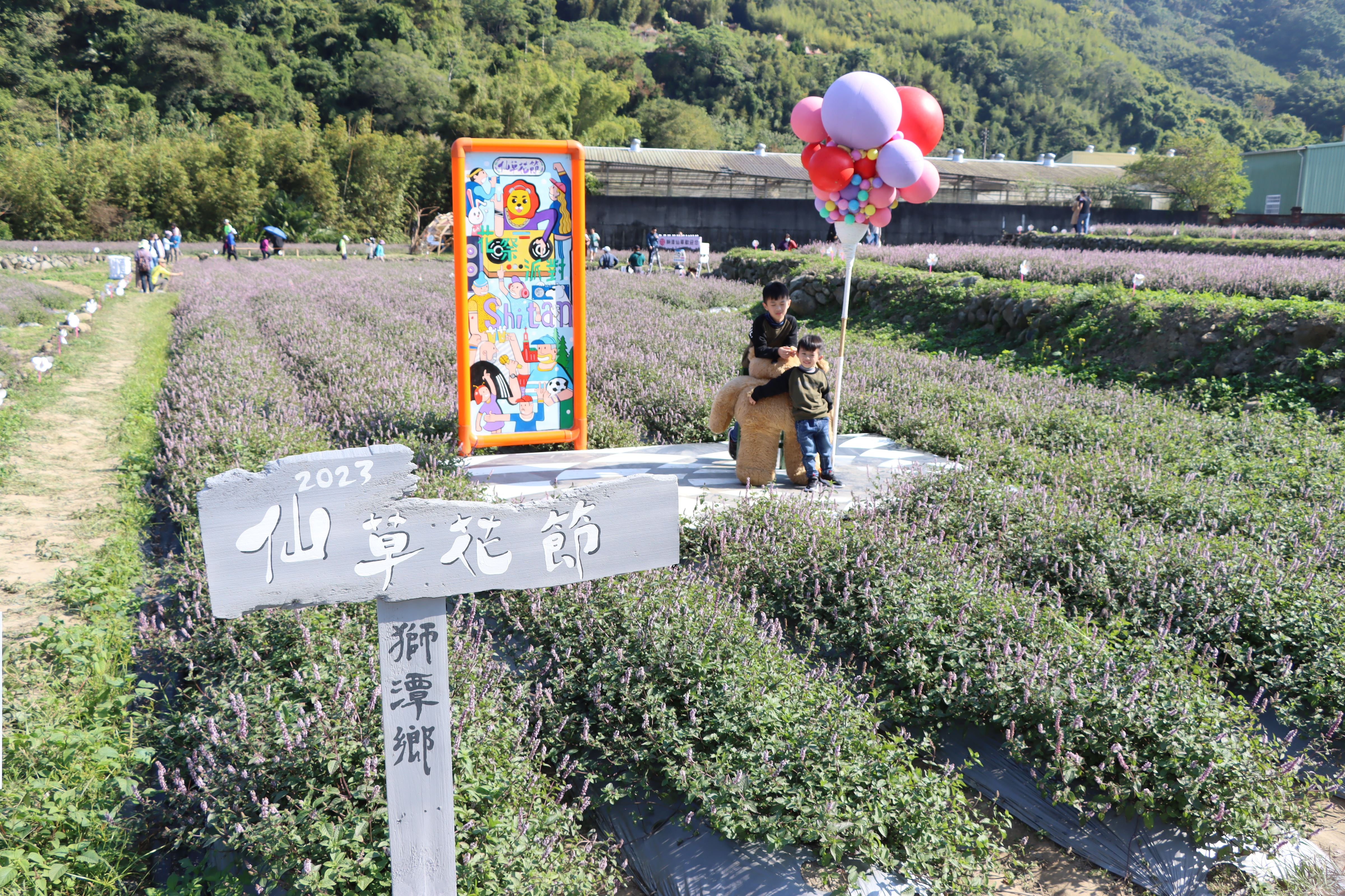 10縣府─花田中的地景藝術吸引遊客拍照打卡IMG_9700.JPG