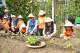 縣府4-造橋談文國小附設幼兒園沉浸式台語教學生動有趣,種菜體驗.JPG