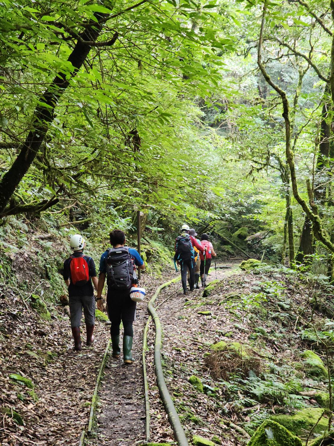 加里山登山客迷途，南庄分隊即刻救援平安護送下山
