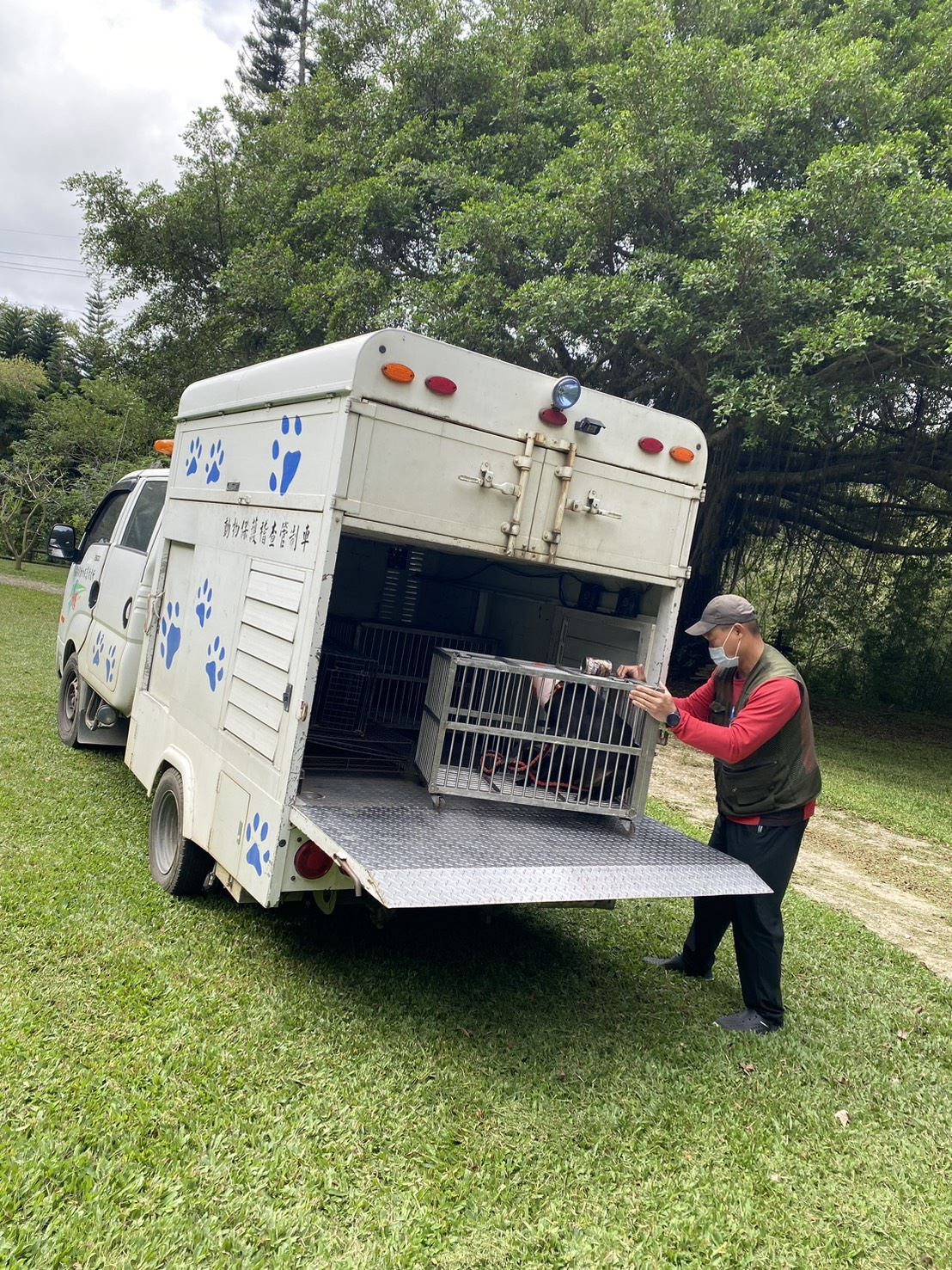 通霄鎮出現首例鼬獾狂犬病案例   縣府採立即作為並擴大施打狂犬病疫苗