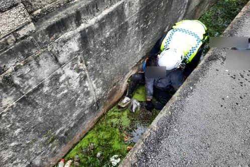 圖片來源：苗栗縣政府