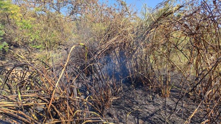 圖片來源：苗栗縣政府