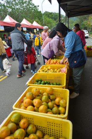 圖片來源：苗栗縣政府
