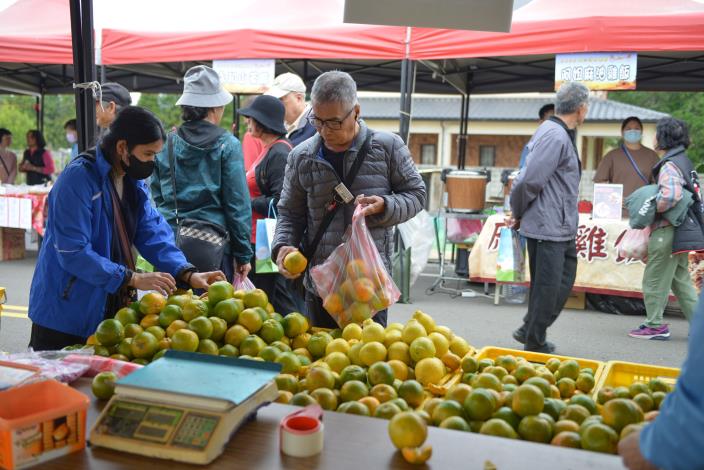 圖片來源：苗栗縣政府