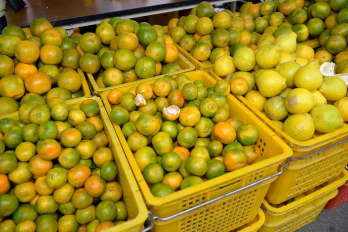 圖片來源：苗栗縣政府