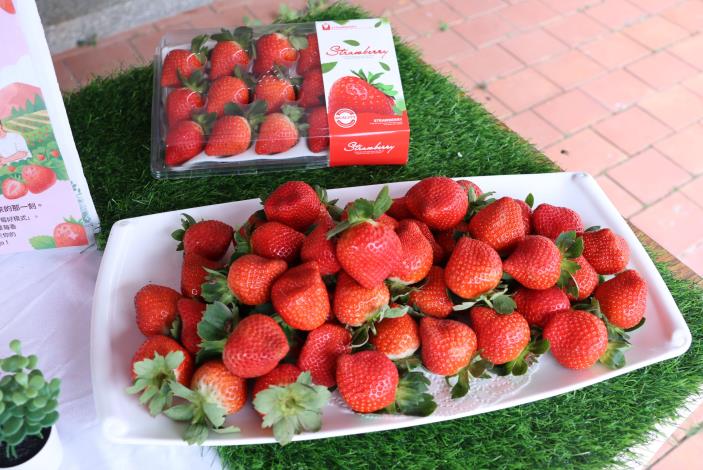 圖片來源：苗栗縣政府