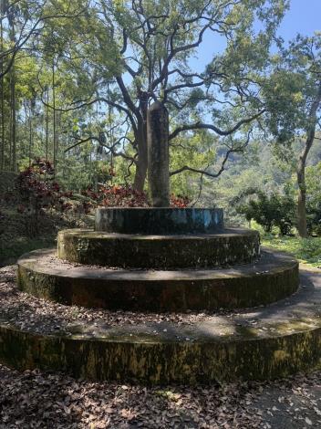 圖片來源：苗栗縣政府