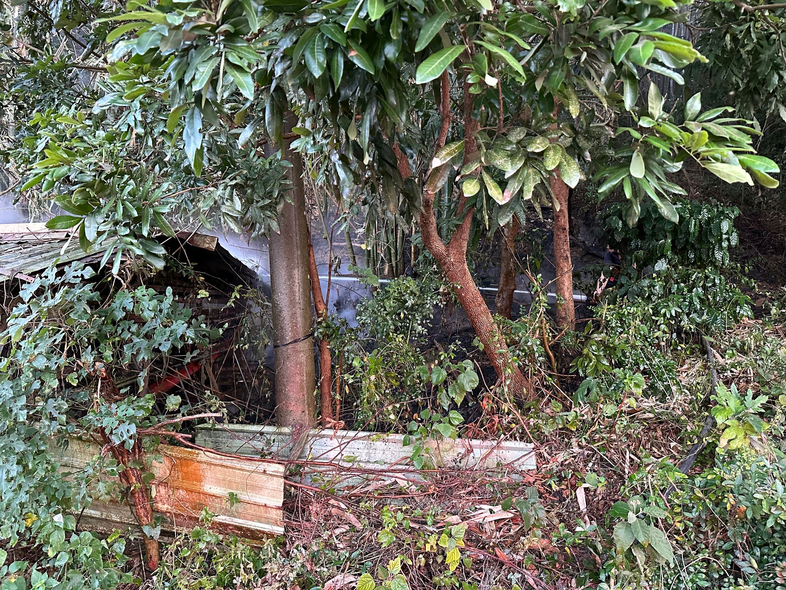 三湖村邊坡起火 西湖消防迅速撲滅救援老翁