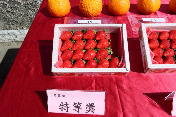 圖片來源：苗栗縣政府