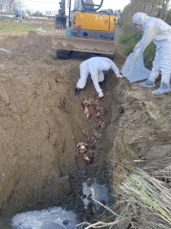 圖片來源：苗栗縣政府