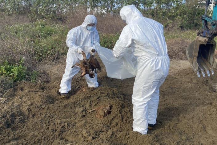 圖片來源：苗栗縣政府