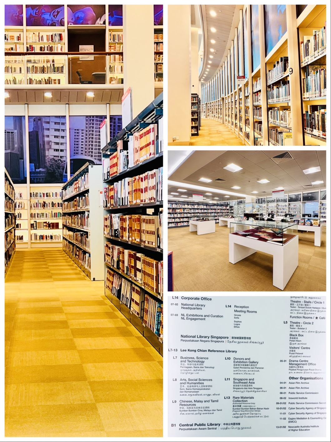 新加坡國家圖書館巡禮