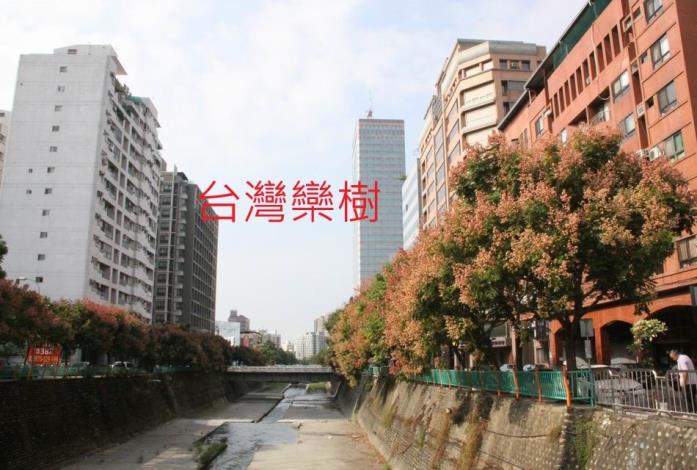苗栗縣政府全球資訊網-中文網-深根植物—保護水土資源的自然力量