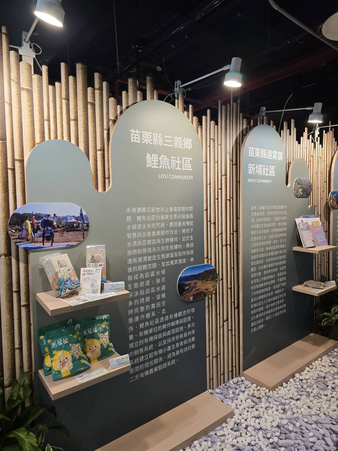不只是農村！苗栗金牌亮相科教館　從山到田掀永續生活革命