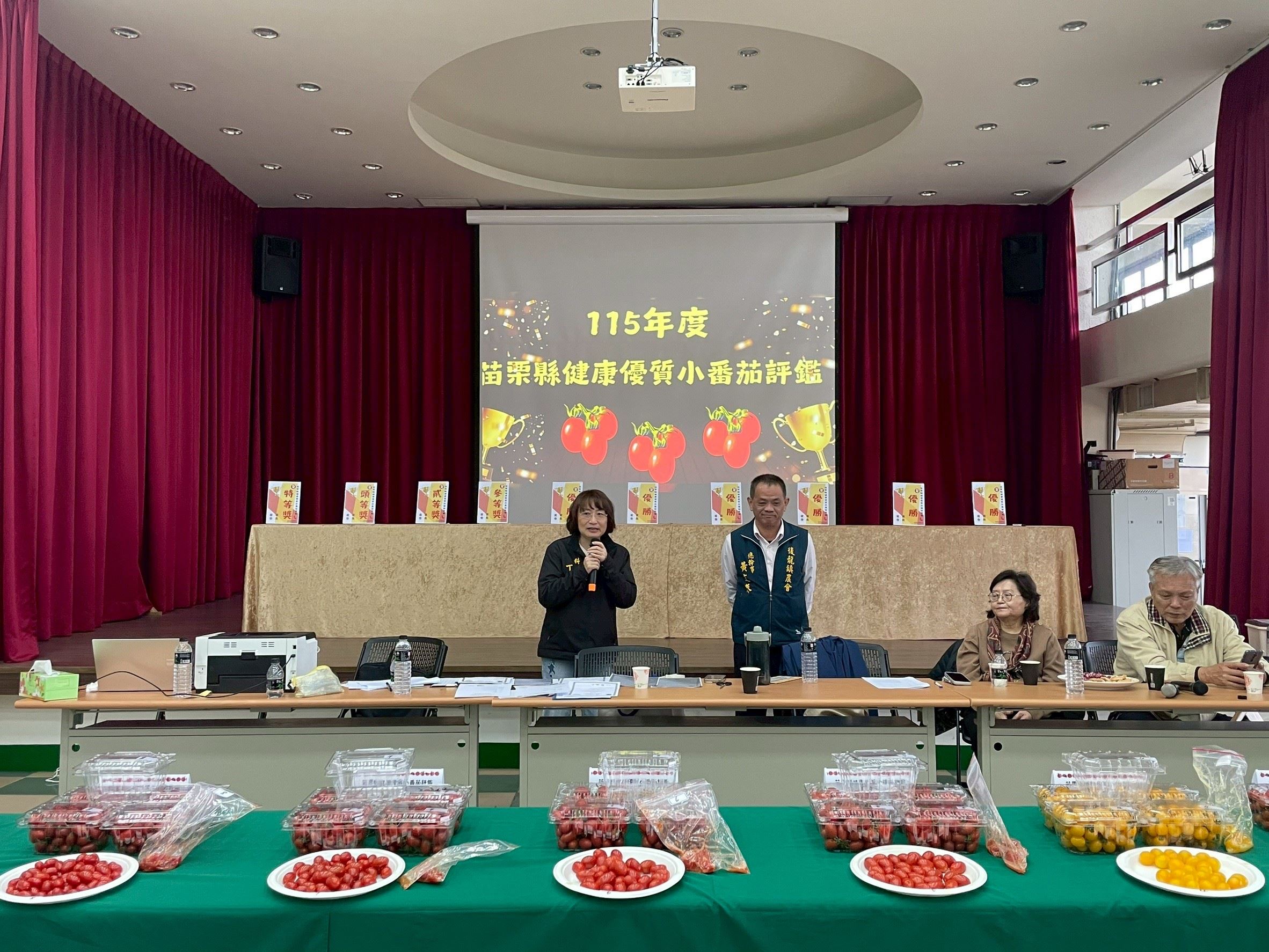 115年度苗栗縣健康優質小番茄評鑑  在地農友展現卓越實力