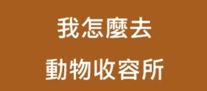 我怎麼去動物收容所