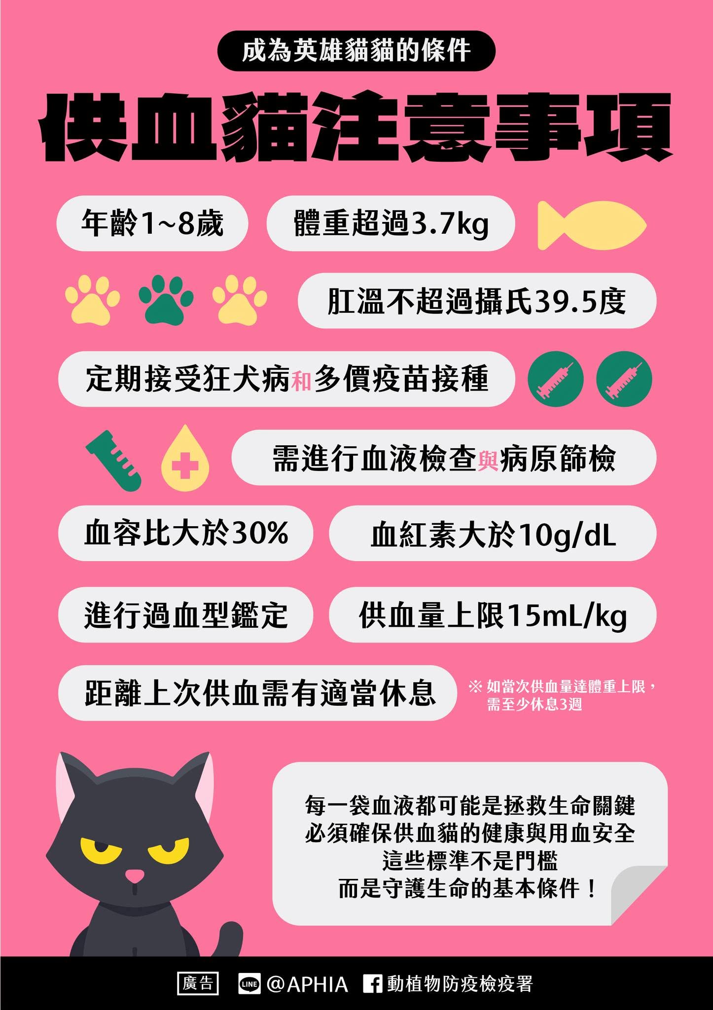 守護毛孩生命安全　供血犬貓健康把關不可輕忽
