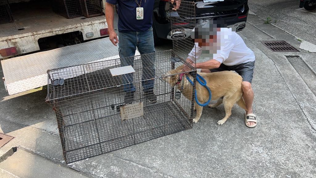 通報犬隻疑遭不當對待案 動防所依法查處並扣留犬隻安置