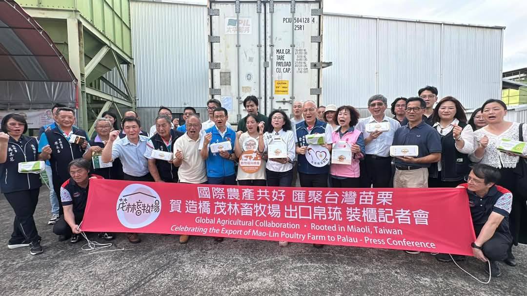 非籠飼動物福利🥚雞蛋外銷🚛帛琉超市，苗栗縣防疫國產雞蛋🐔國際新紀元👍