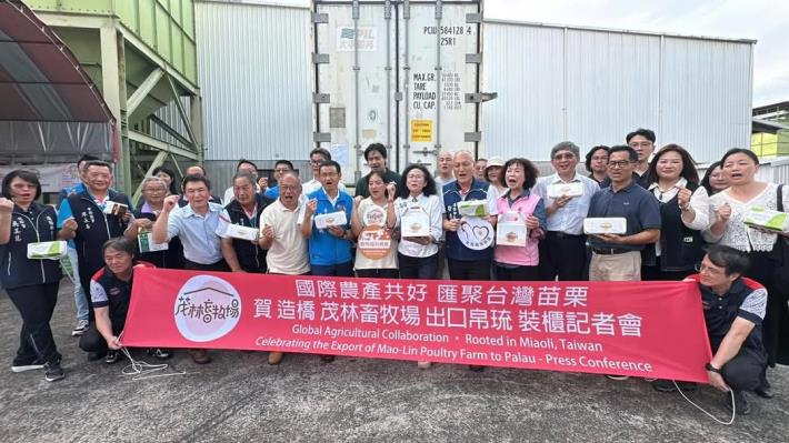 非籠飼動物福利🥚雞蛋外銷🚛帛琉超市，苗栗縣防疫國產雞蛋🐔國際新紀元👍