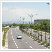 道路