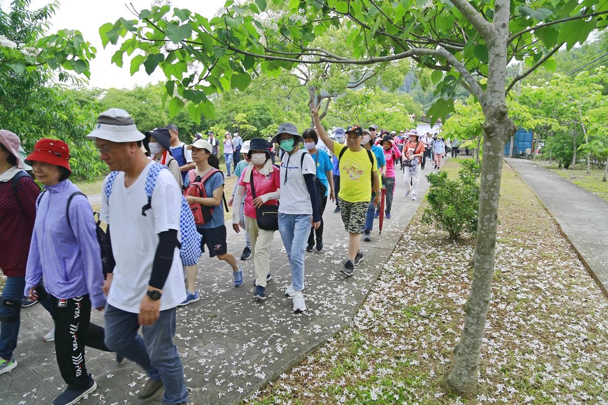 2025桐花祭，千人健走桐享春遊好時光
