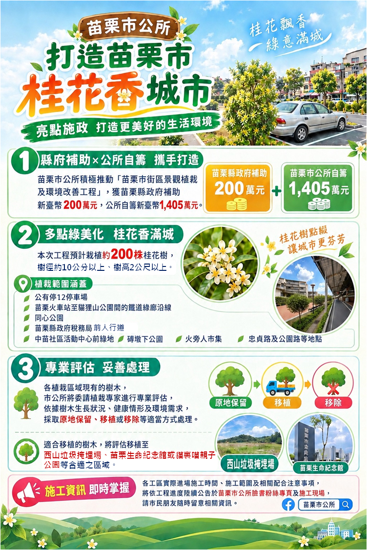 桂花飄香苗栗　縣府、市公所攜手打造花香城市