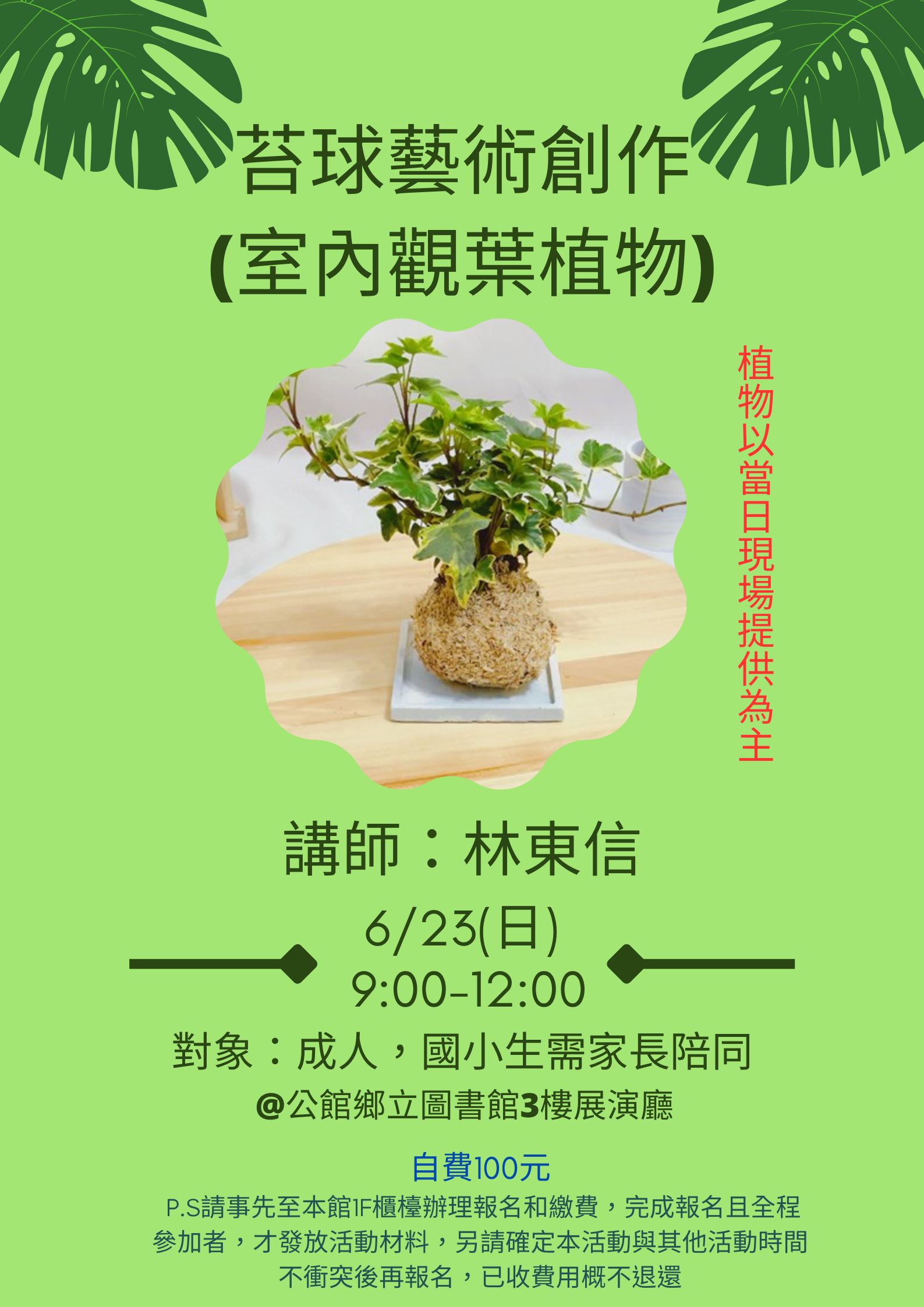 苔球藝術創作(室內觀葉植物)