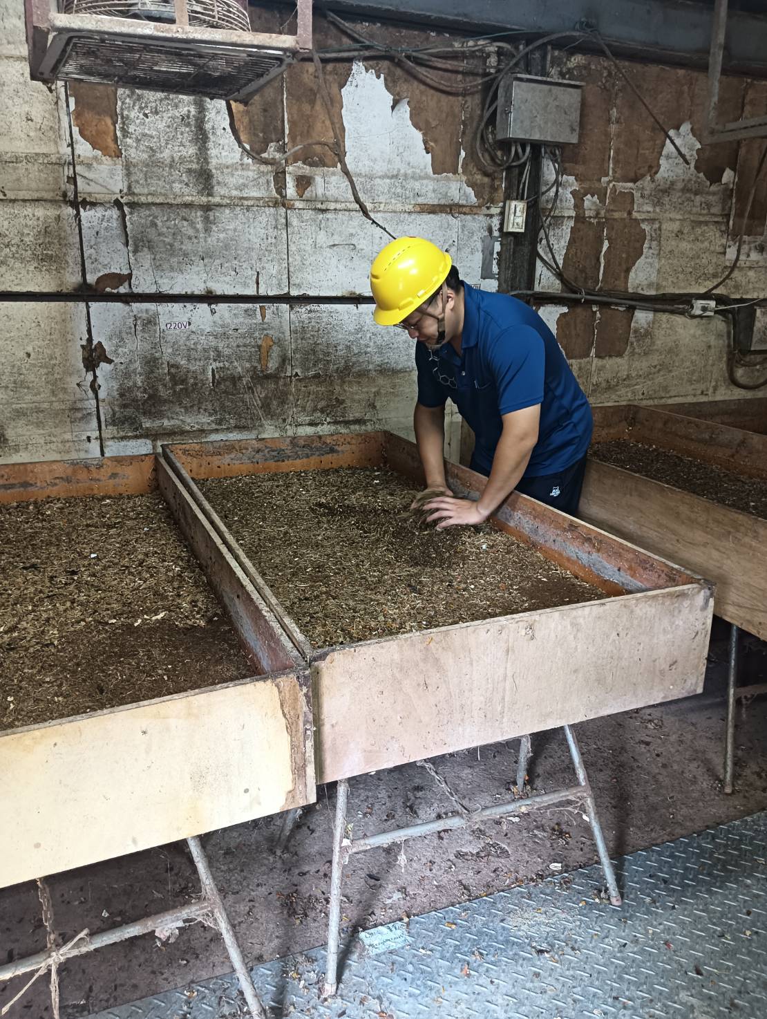 三義推動黑水虻廚餘循環再利用　打造永續低碳環保示範鄉