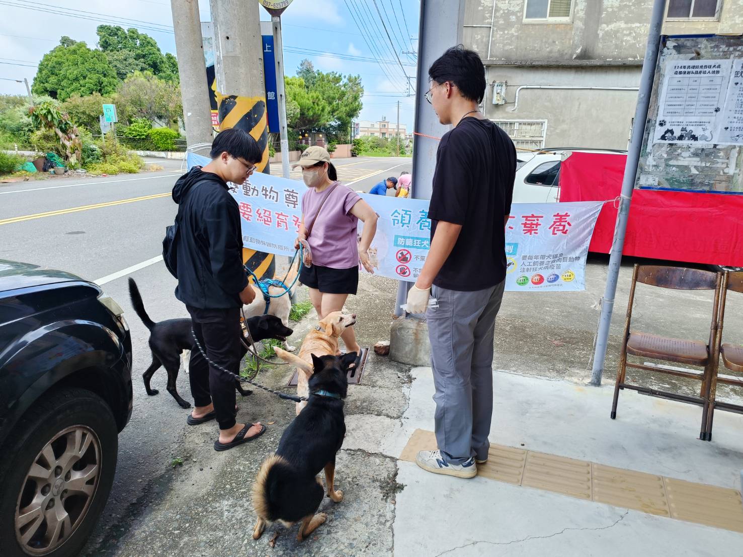 苑裡鎮114年度9、10月份『免費狂犬病疫苗注射及晶片植入』活動圓滿結束。