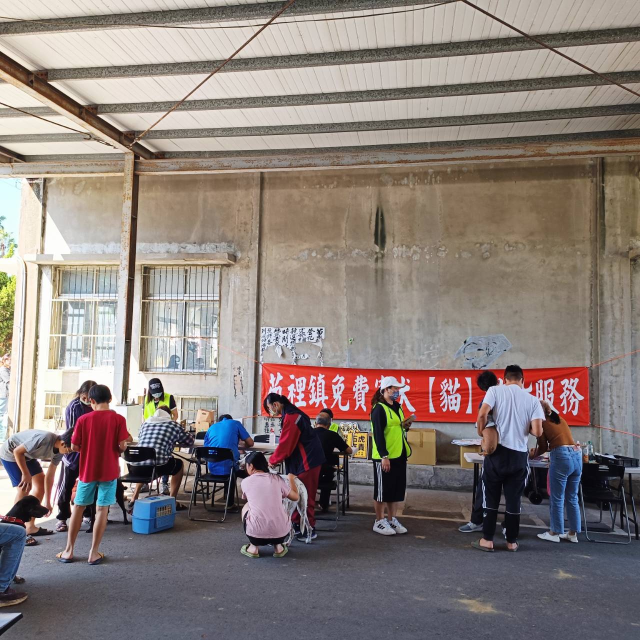 苑裡鎮114年11月份「免費家犬（貓）結紮服務」及「免費狂犬病疫苗注射及晶片植入」活動圓滿完成。