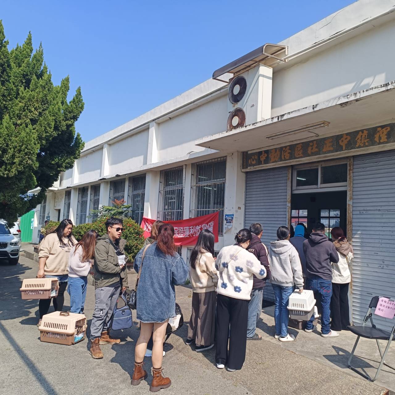 苑裡鎮115年3月份「免費家犬（貓）結紮服務」及「免費狂犬病疫苗注射及晶片植入」活動圓滿完成。