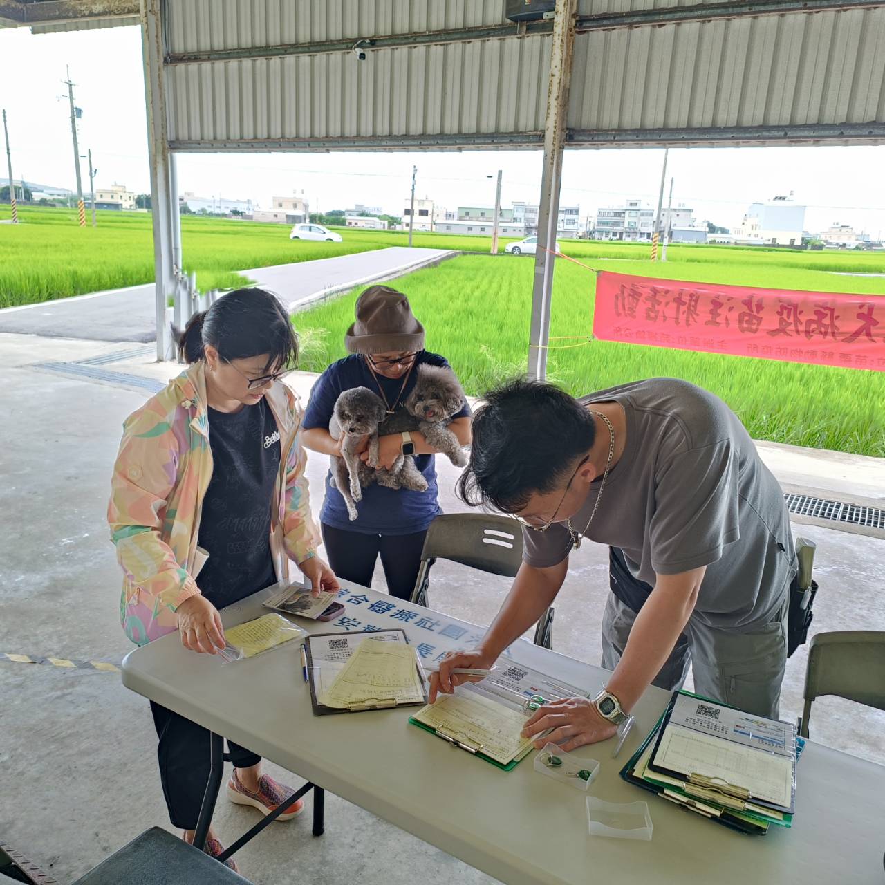 苑裡鎮115年度5、6月份『免費狂犬病疫苗注射及晶片植入』活動圓滿結束新聞稿。