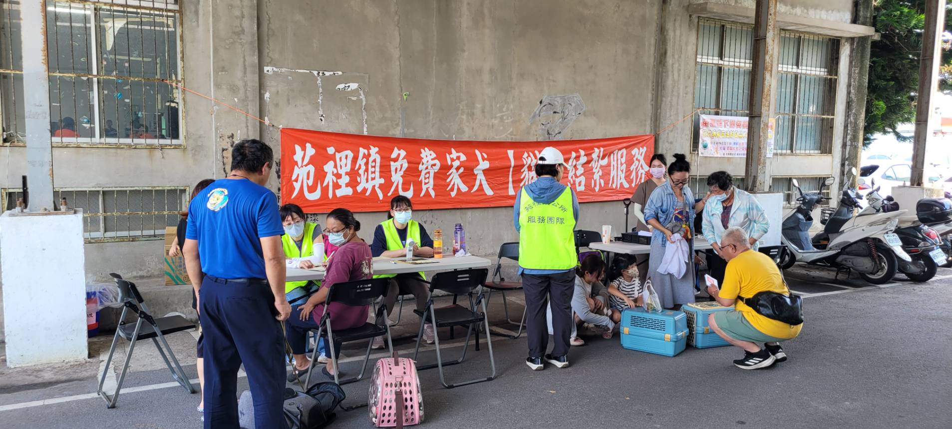 苑裡鎮115年8月份「免費家犬（貓）結紮服務」及「免費狂犬病疫苗注射及晶片植入」活動圓滿完成。
